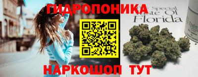 apvp Гай