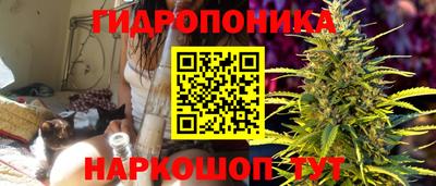 apvp Гай