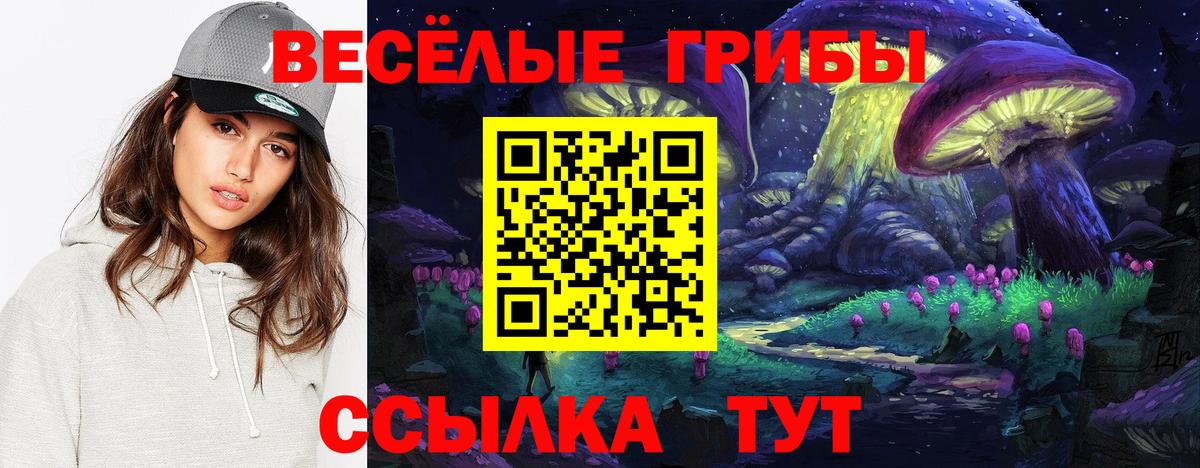 Псилоцибиновые грибы Psilocybine cubensis Первоуральск